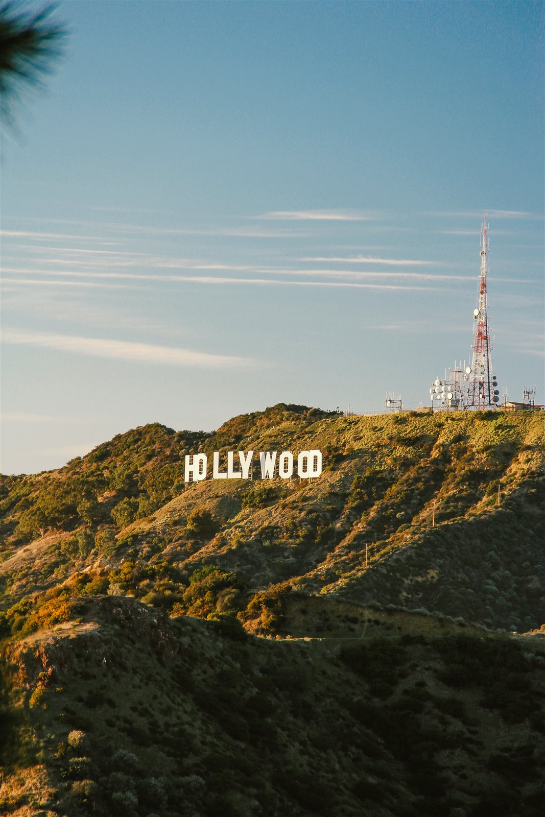 Los Angeles California street view